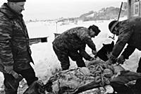 Колодозеро — небольшое село на границе Карелии и А