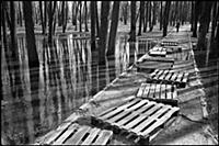 Парк Дружбы. Подборка черно-белых фотографий моско