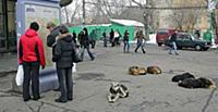 Подборка фотографий Московского метрополитена. Рос