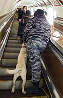 Подборка фотографий Московского метрополитена. Рос
