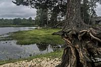 Деревенская жизнь русского Севера. Россия, Арханге