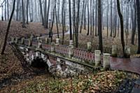 Туманное осеннее утро в Царицынском парке.
