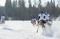 Первый Российско-Швейцарский чемпионат по поло на 