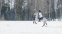 Саймон Люгинбюль. Первый Российско-Швейцарский чем