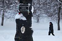 Карелия.Петрозаводск.Набережная Онежского озера.Ск