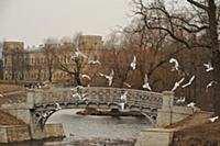 Гатчина, Россия.